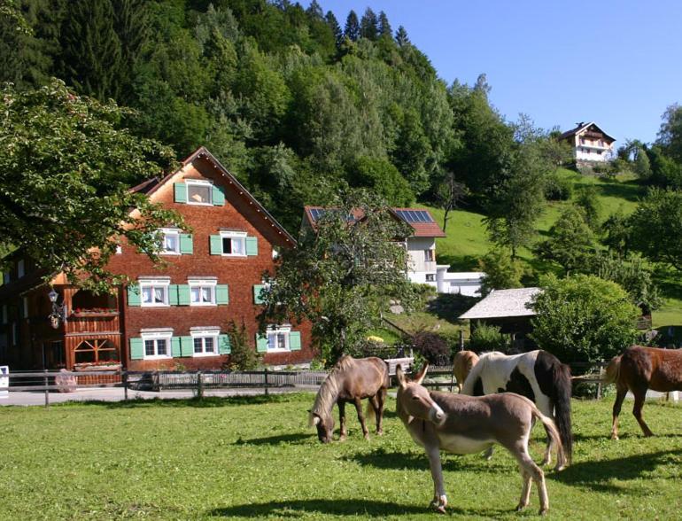Hotel Gasthaus Schaefle Buerserberg Exterior photo